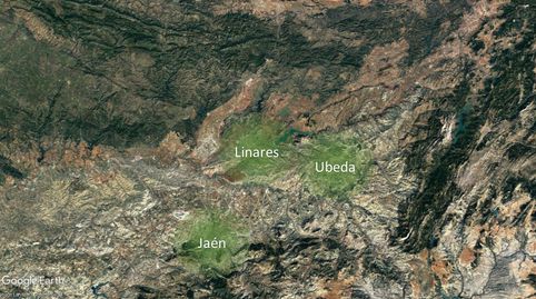 Photo 5 of Residential for sale in Romero, La Zarzuela - San José - Belén, Linares