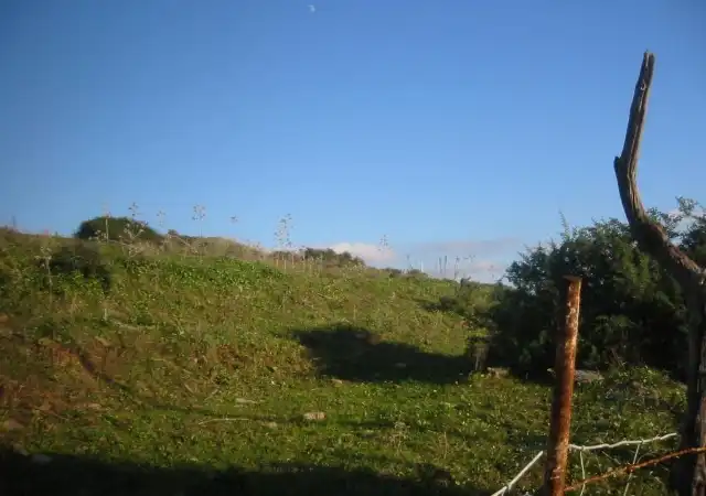Country homes for sale in Algeciras