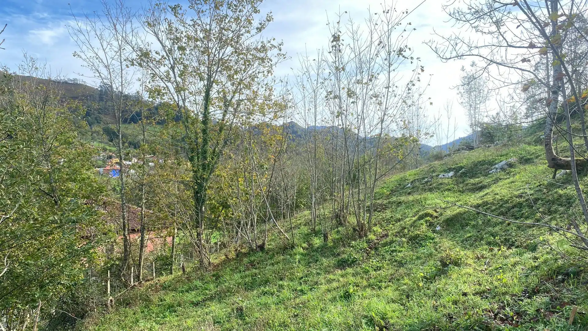 Grundstücke und Bauplätze zum Verkauf in Villar de Onis, imagen 21