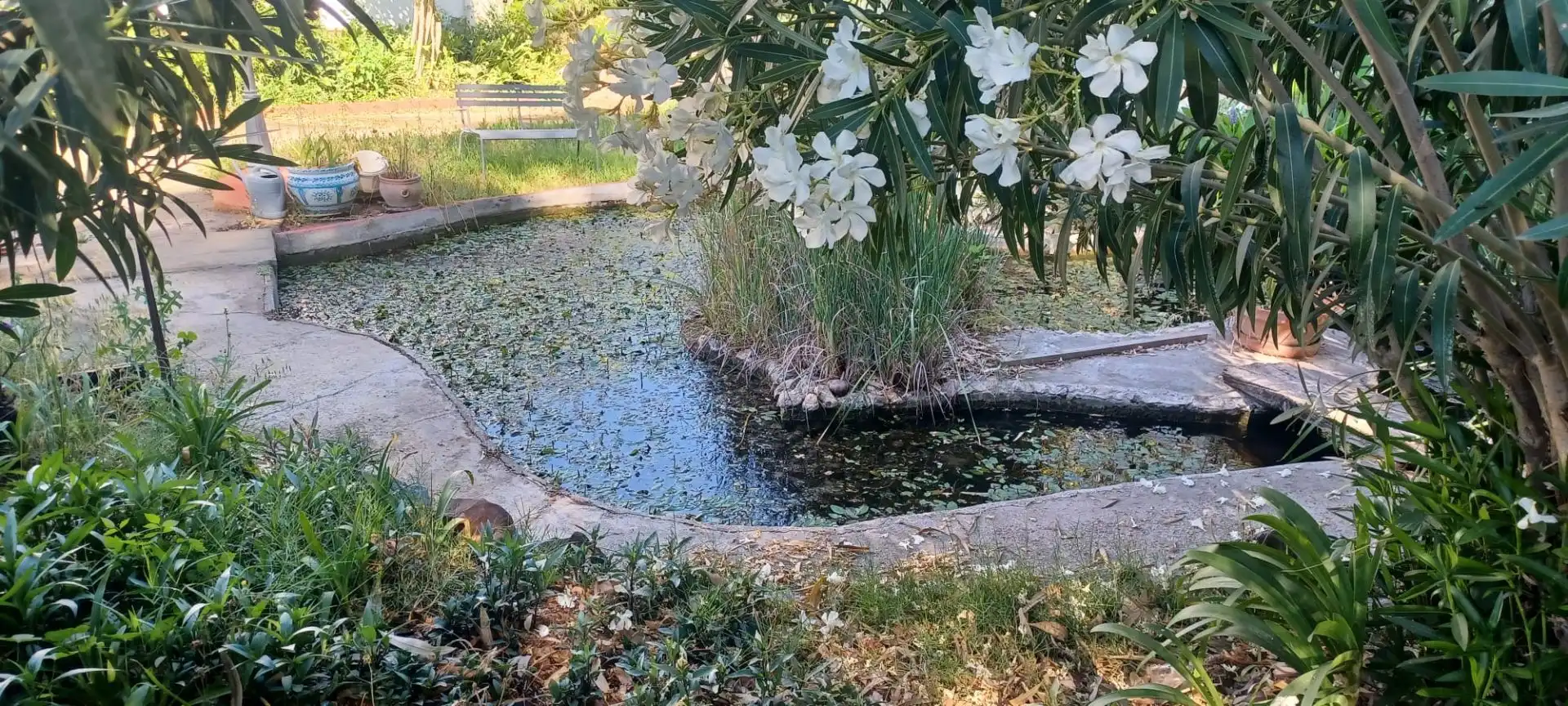 Piscina de Casa o chalet en venta en Castilblanco de los Arroyos con Aire acondicionado, Jardín privado y Terraza