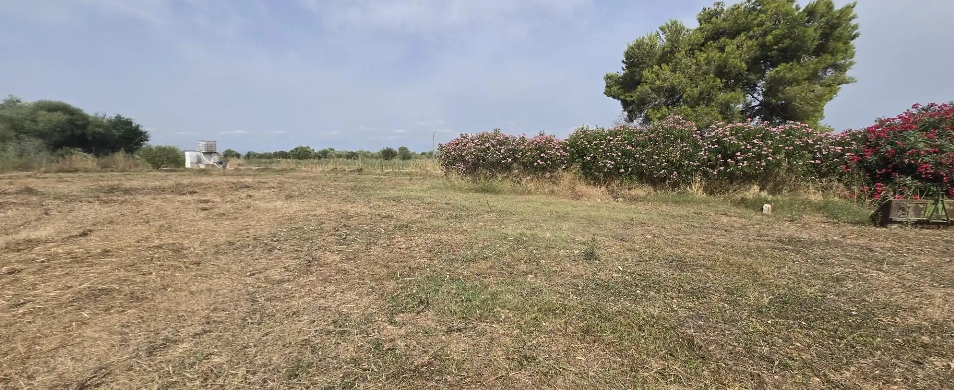 Finca rústica en venda en Vinaròs