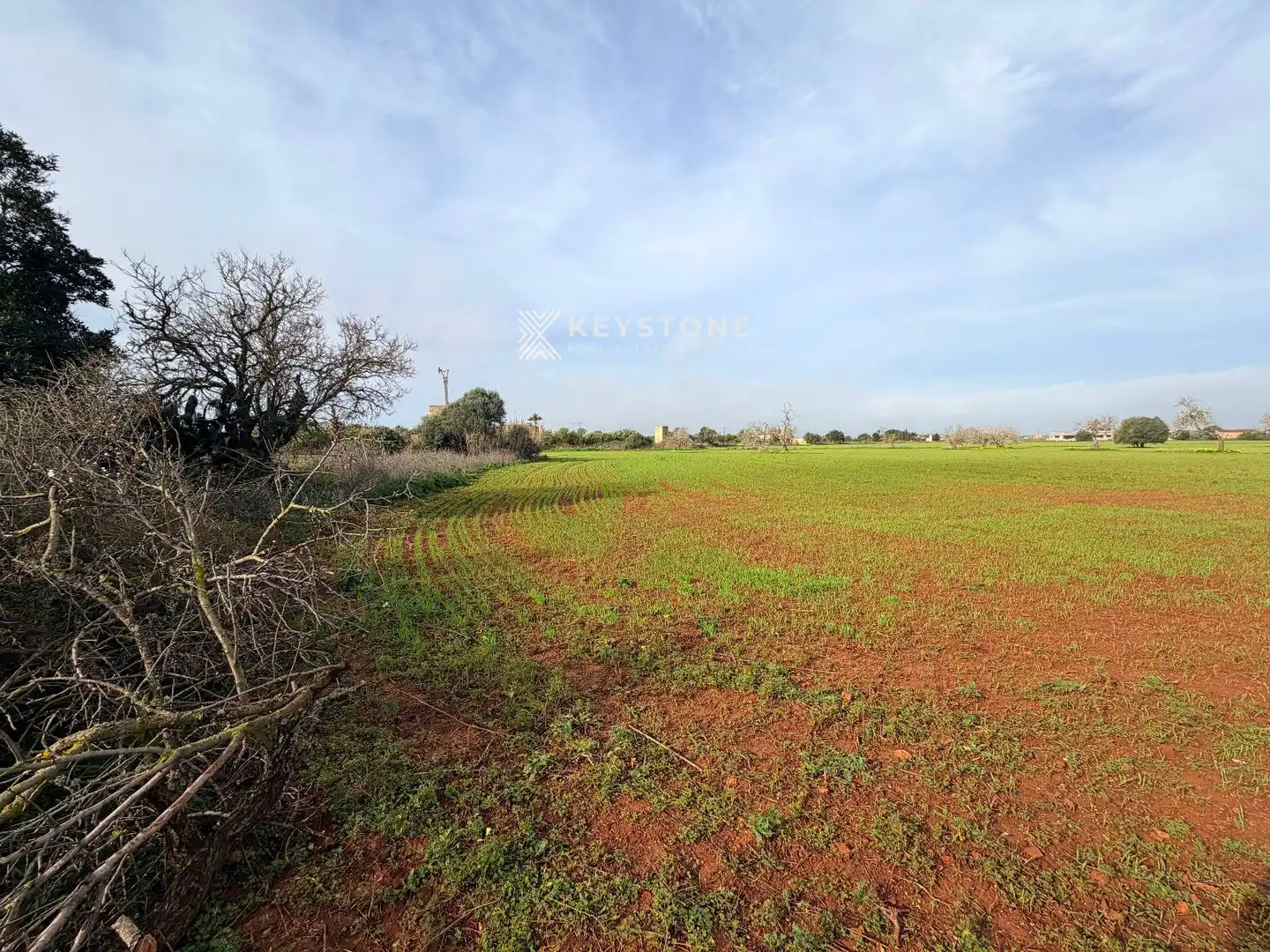 Finca rústica en venta en Campos con Terraza