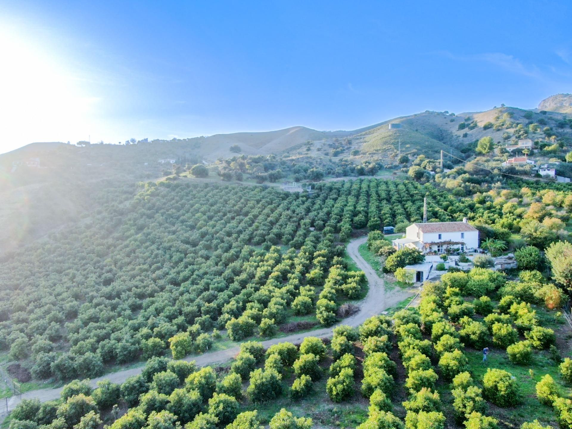 Exterior view of Country house for sale in Álora  with Private garden, Terrace and Storage room