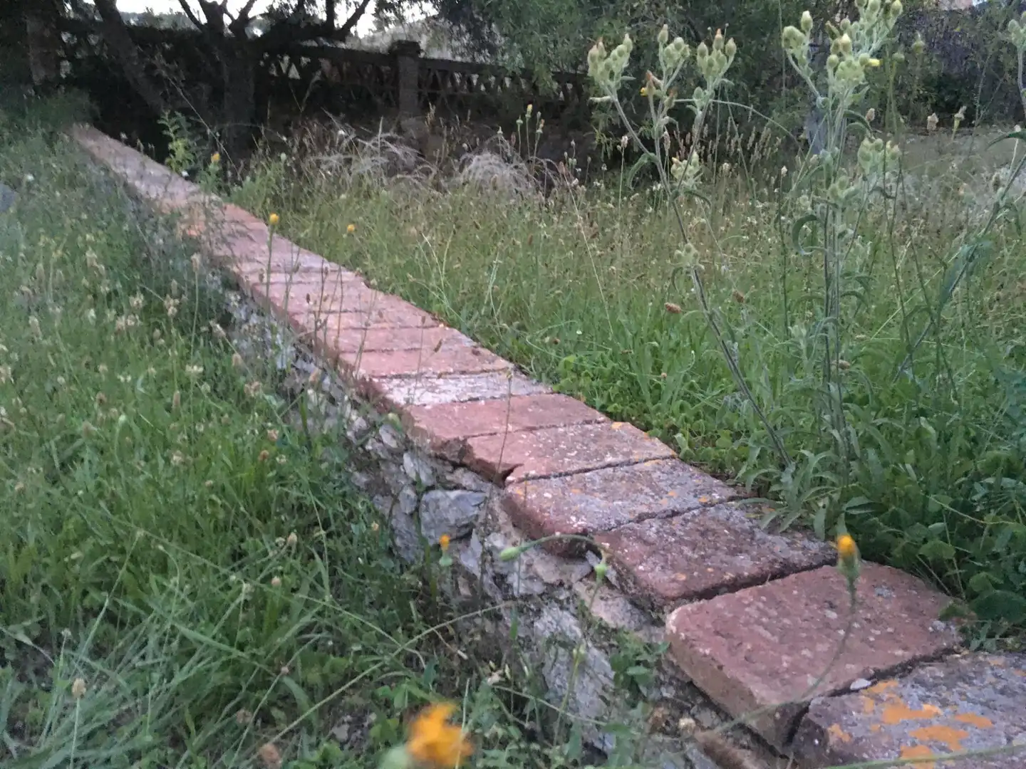 Wohnbaugrundstück zum Verkauf in El Racó - Sant Feliu del Racó, imagen 2