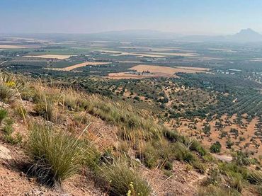 Terrenos y solares en venta en Bobadilla - Bobadilla Estación - La Joya