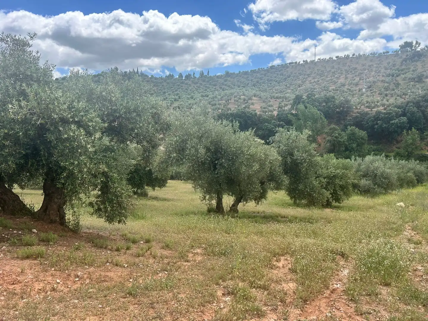 Terreno rustico in vendita a Calicasas, imagen 16