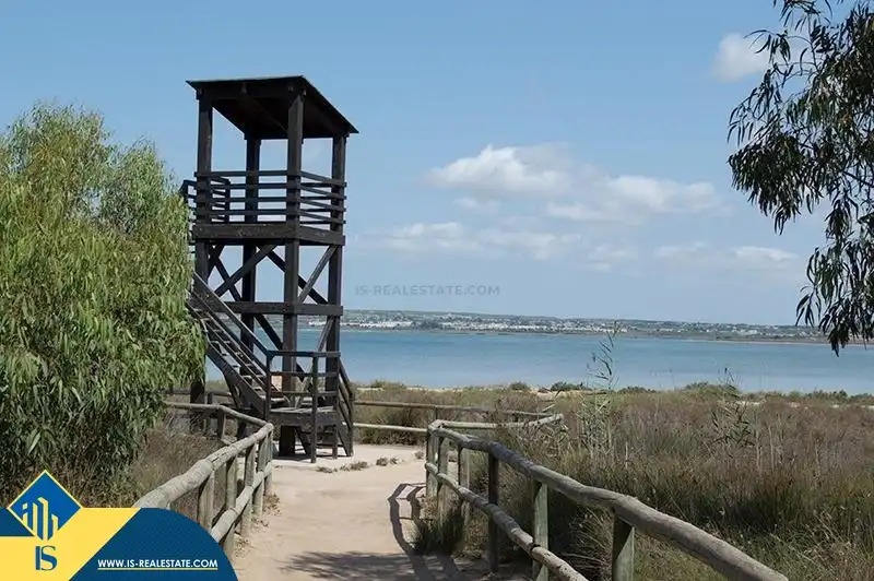 Wohnung zum Verkauf in La Mata, imagen 32
