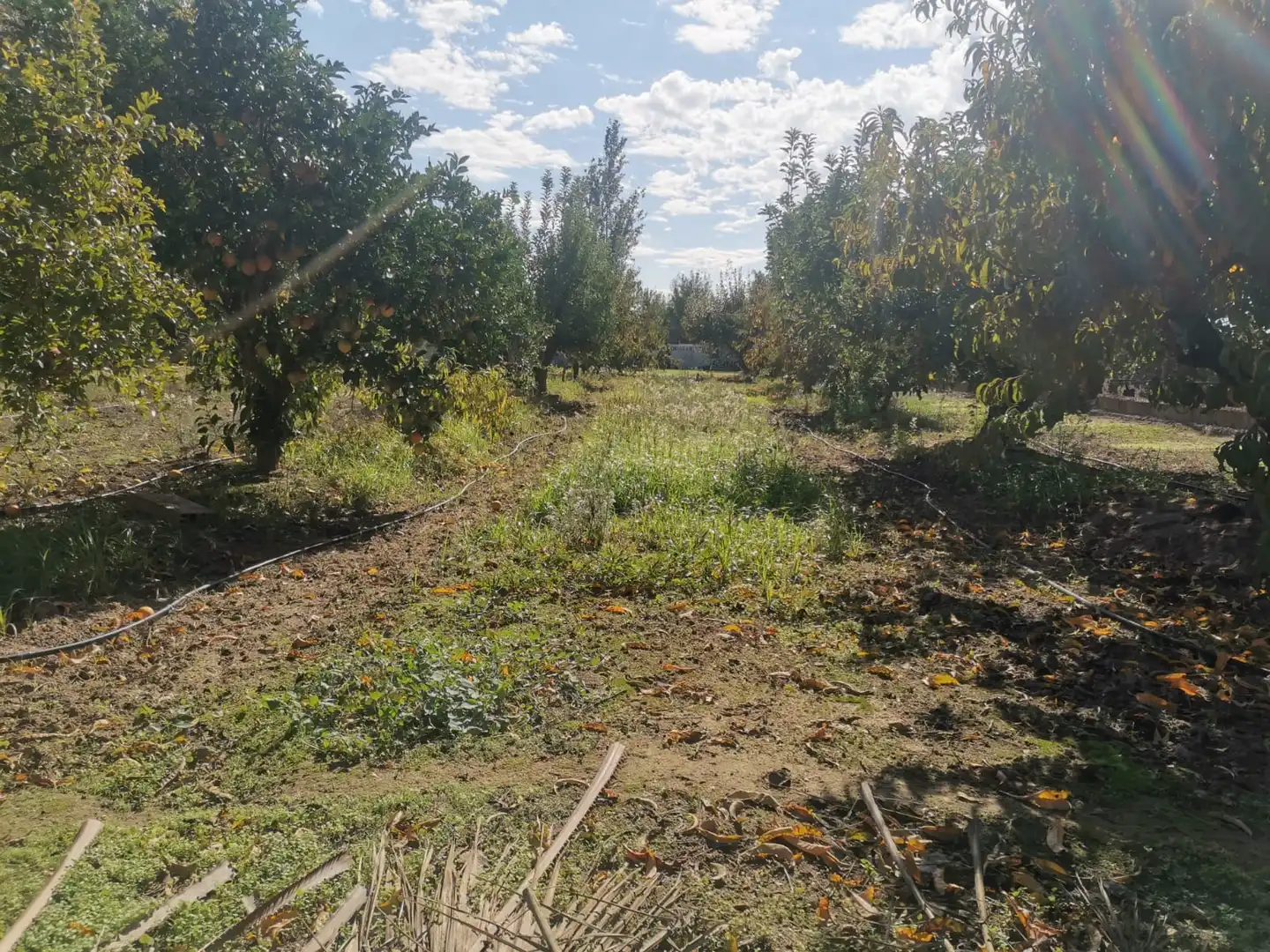 Terreni e lotti in vendita a Poblado Villanueva de la Serena 48, imagen 3