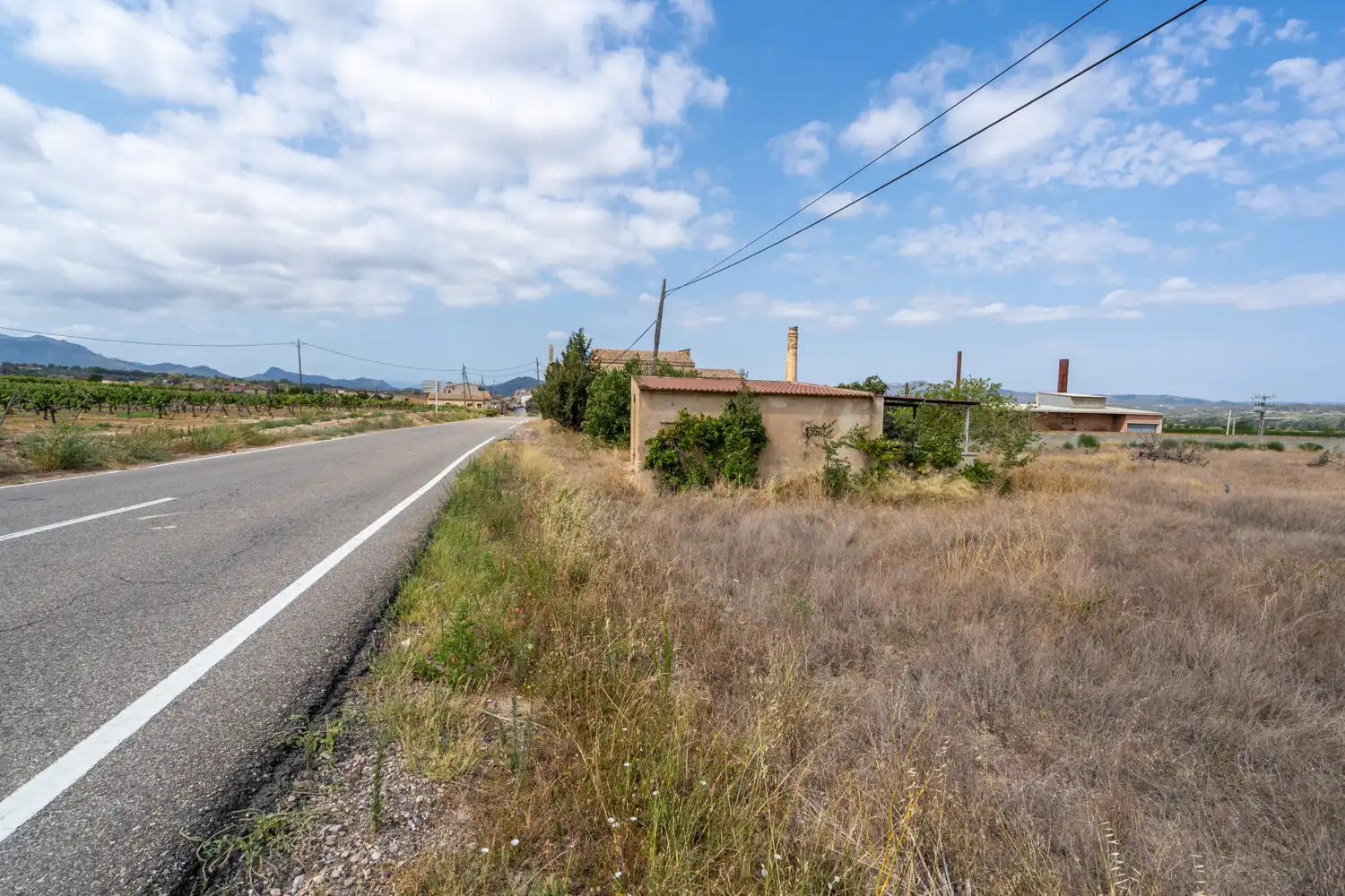Rural land for sale in Ginestar, imagen 4