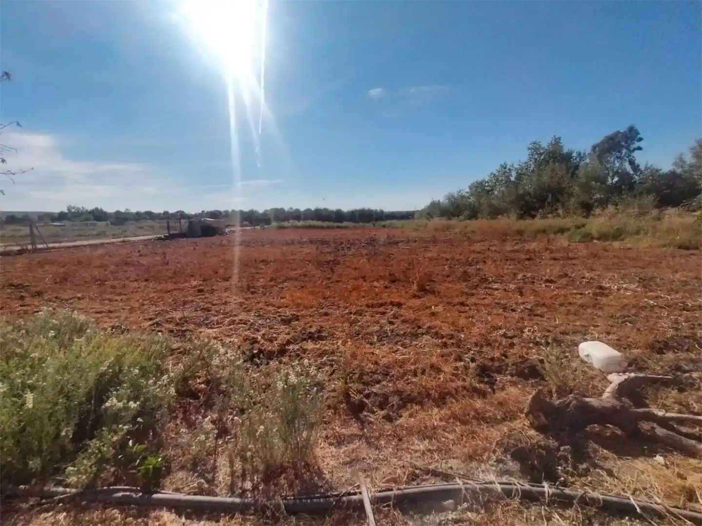 Finca rústica en venda en Marmolejo amb Aire condicionat i Piscina