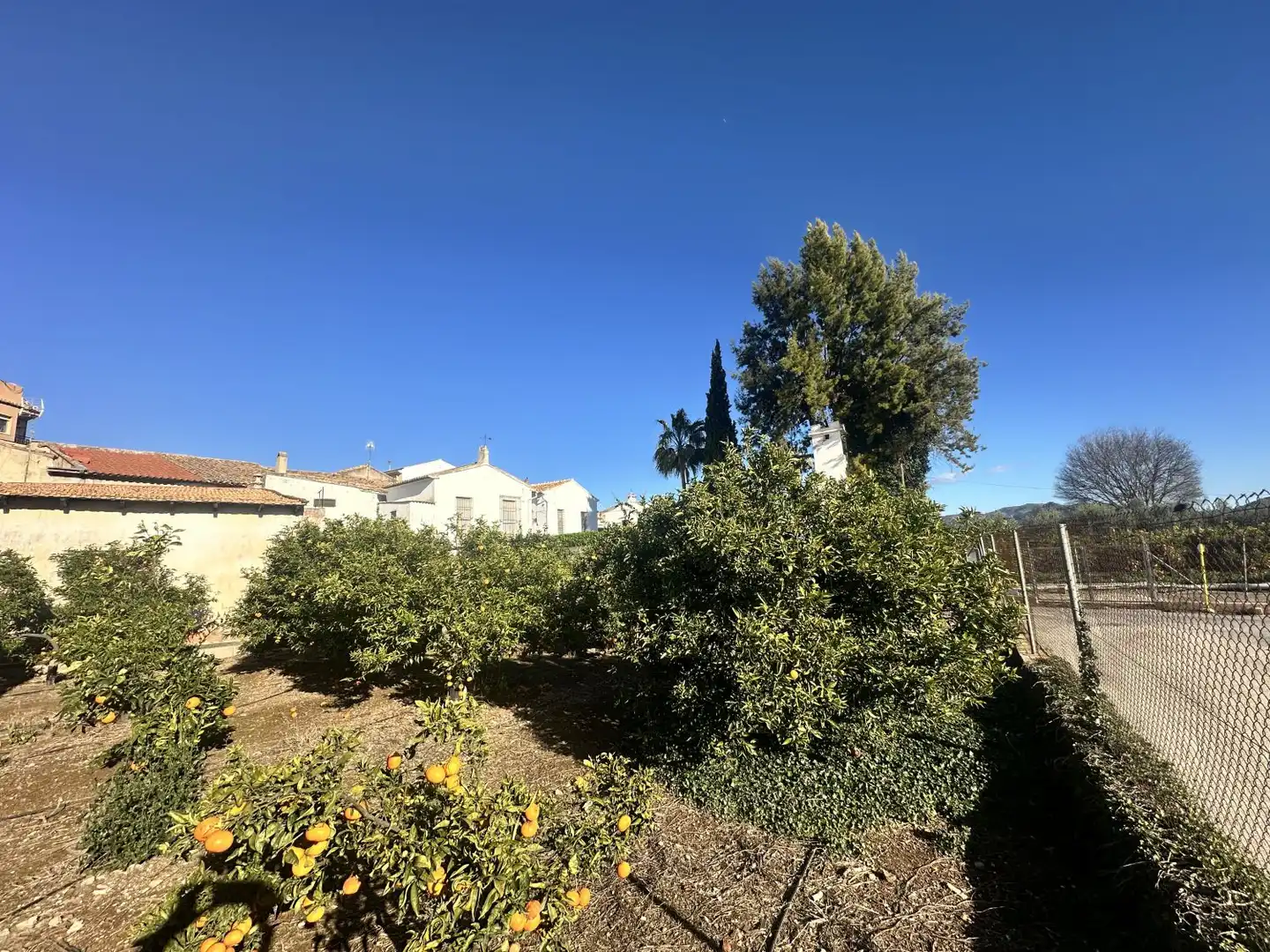 House with terrace for sale in Algímia de Alfara, imagen 50