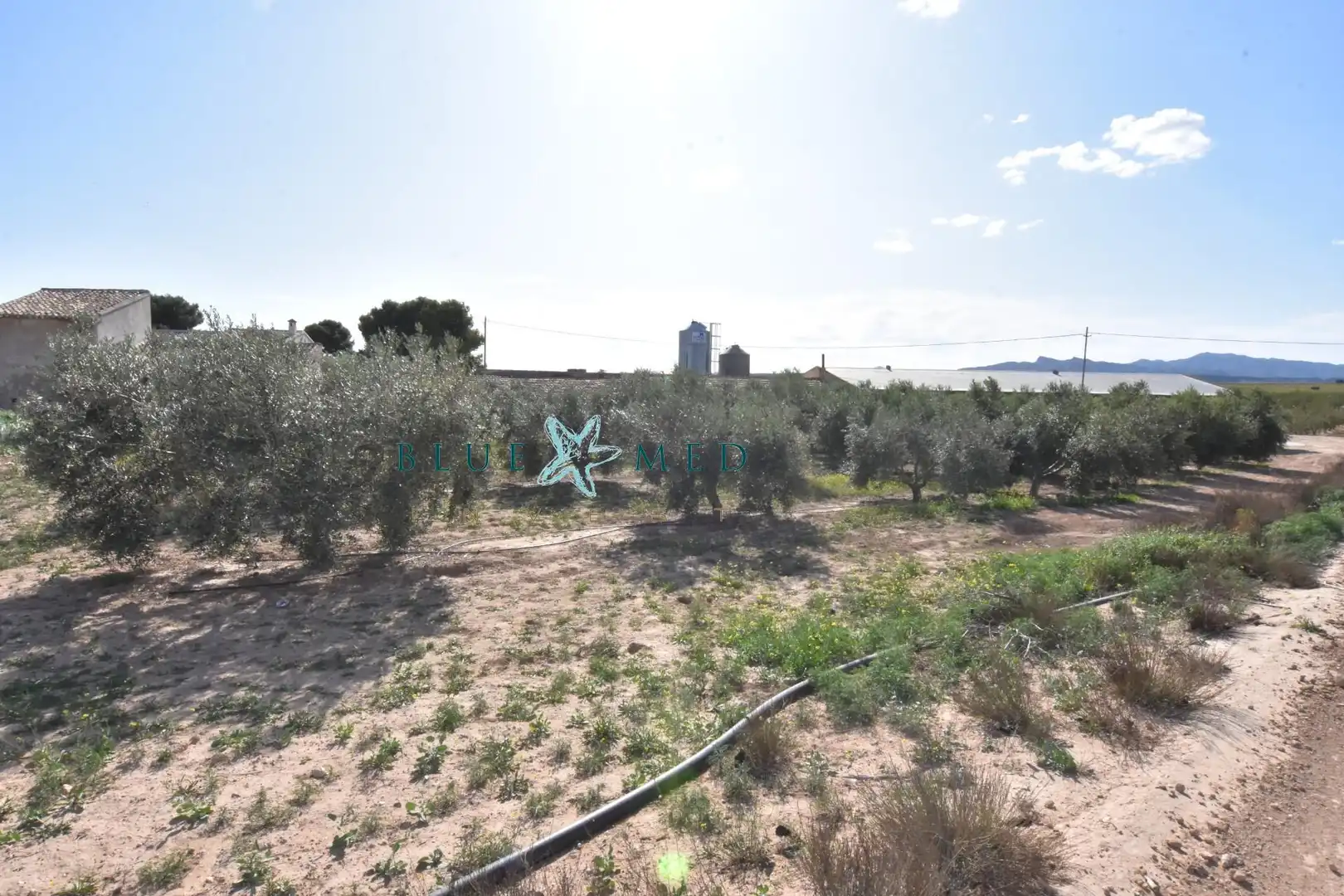 Maison rustique avec jardin à vendre à Mazarrón Casco Urbano, imagen 17