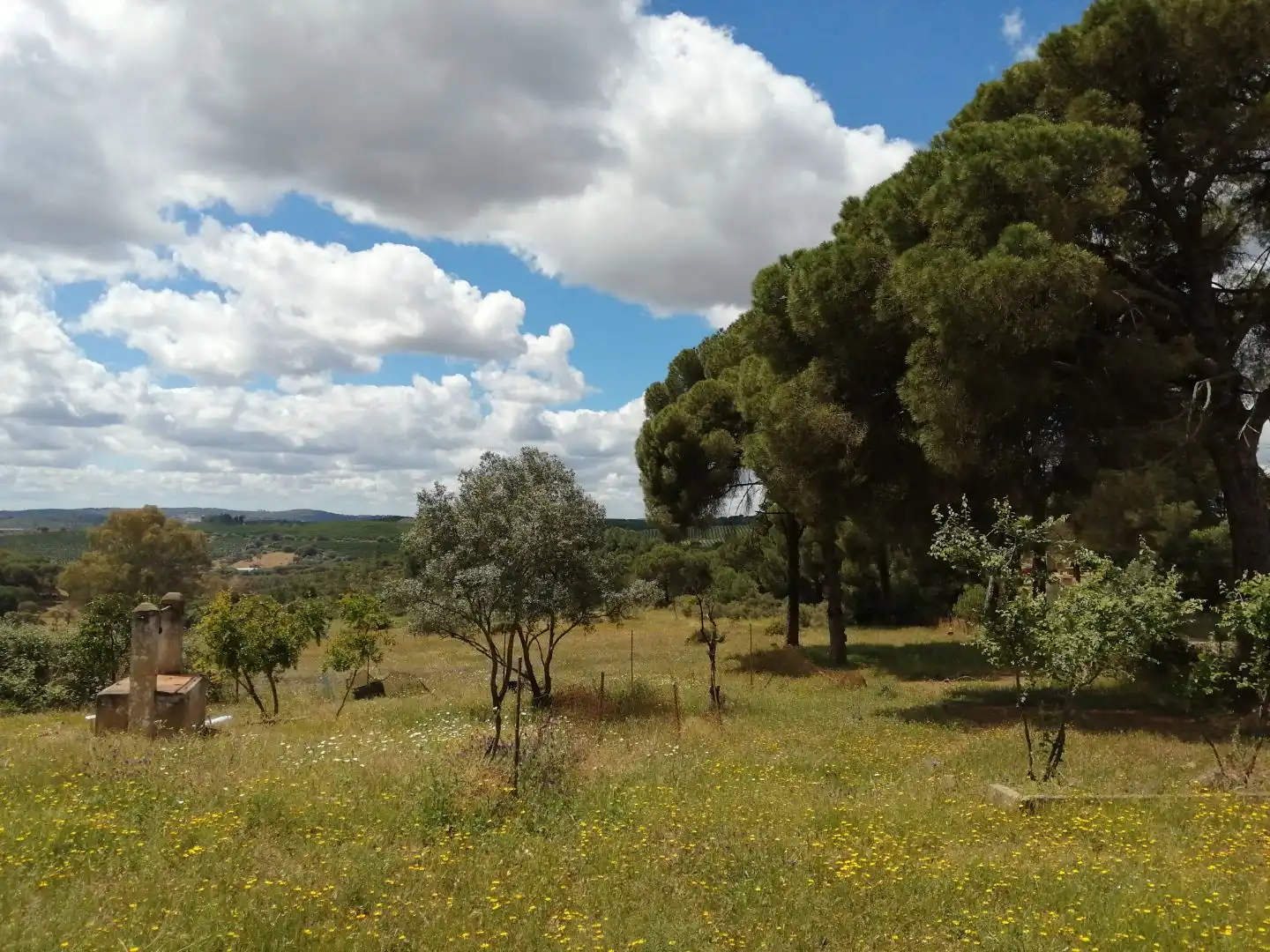 Grundstücke zum Verkauf in El Campillo (Huelva)