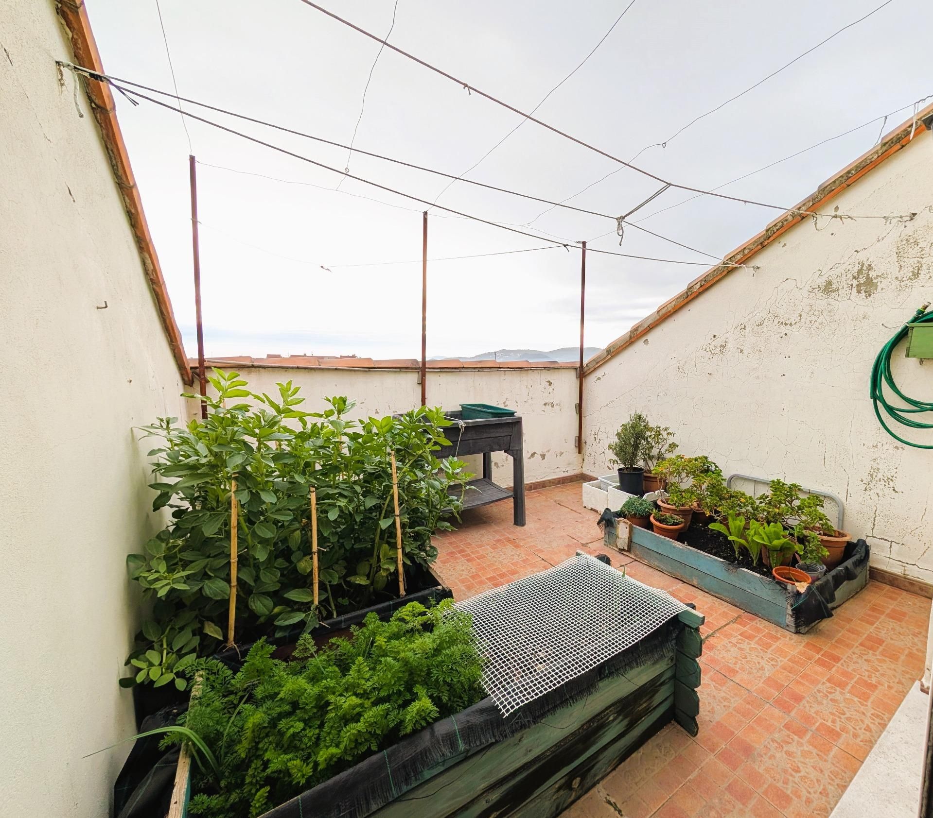 Terrace of Attic for sale in Gandia  with Terrace, Storage room and Balcony