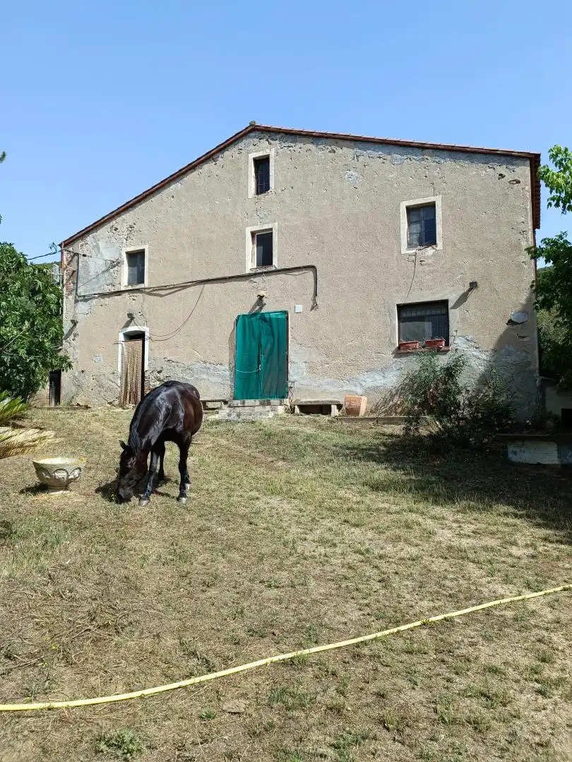 Vista exterior de Finca rústica en venta en Sant Celoni