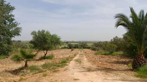 Photo 3 of Country house for sale in Rociana del Condado, Huelva