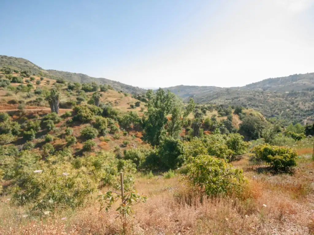 Houses for sale in Monda