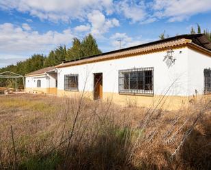 Exterior view of House or chalet for sale in Pinos Puente  with Swimming Pool