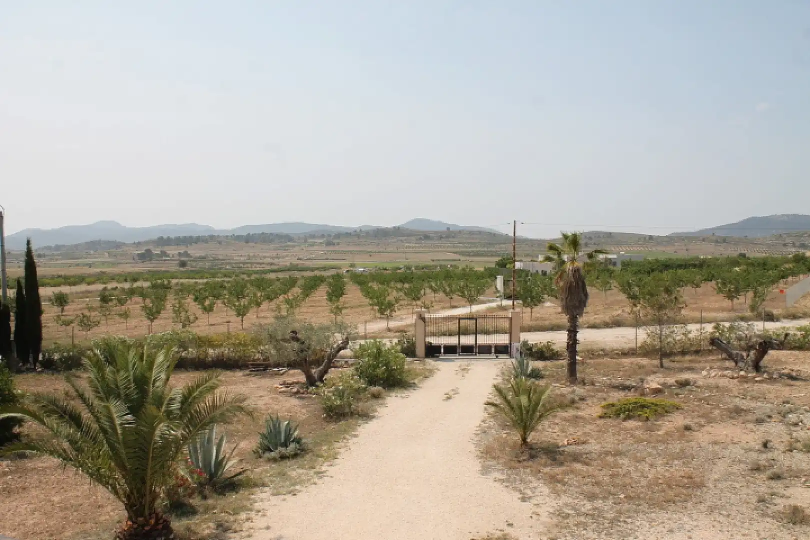 Landhaus zum Verkauf in El Pinós / Pinoso, imagen 23