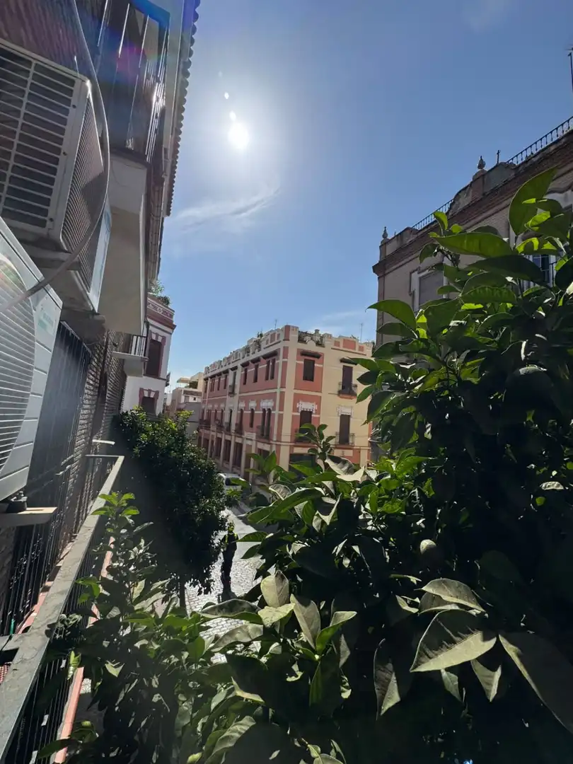 Flat with lift for sale in Baños, imagen 19
