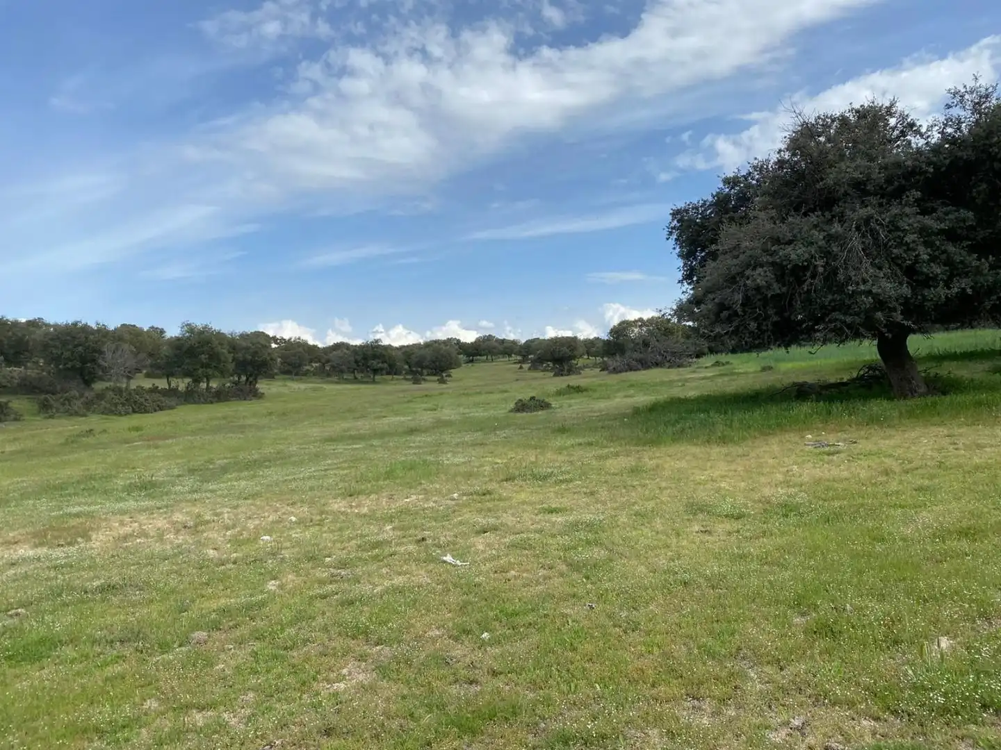 Terreno en venta en Mingorría