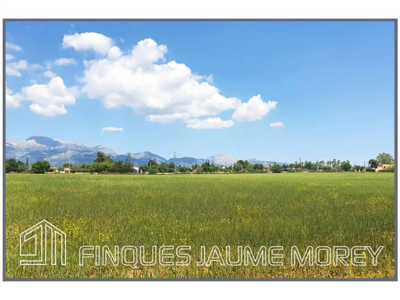 Residential for sale in Inca