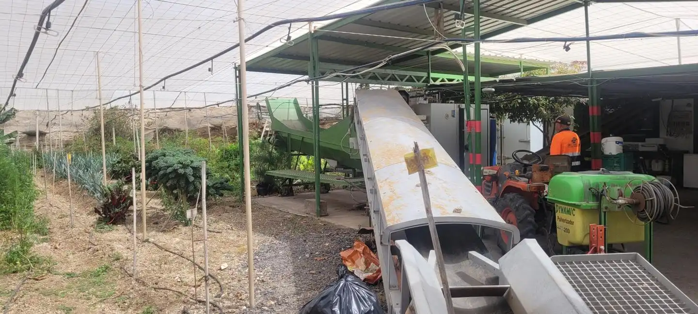 Terreno rustico in vendita a Arico, imagen 12