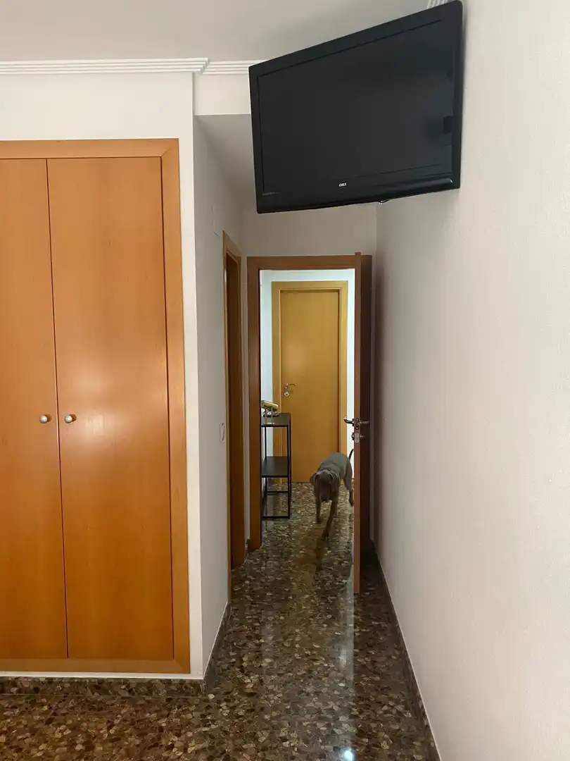 Pis de lloguer en Casc Urbà