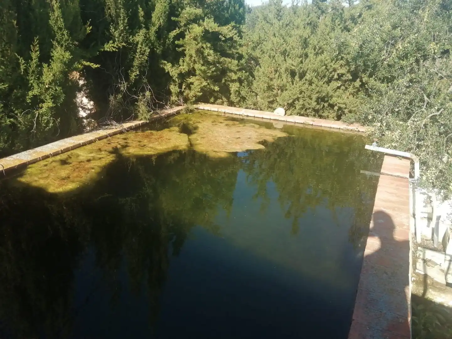 Villa in vendita a Riudoms, imagen 43