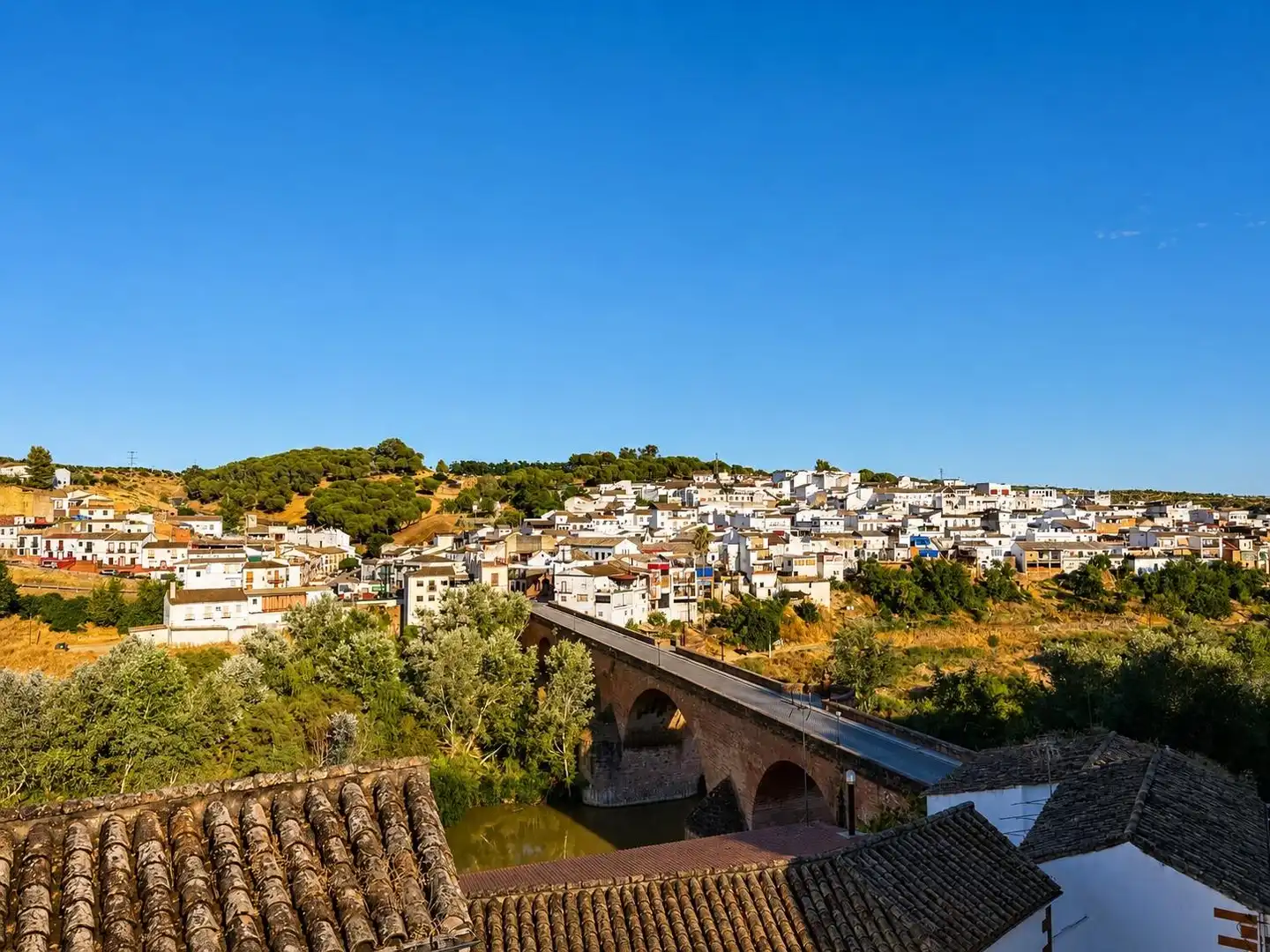 Adossat amb terrassa en venda a PANADEROS