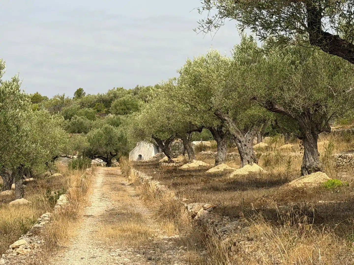 Maison rustique à vendre à L'Ampolla, imagen 17