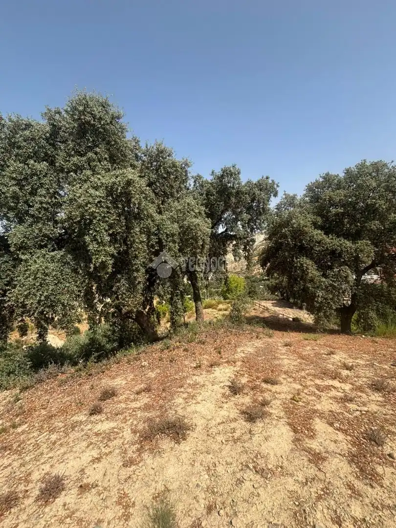 Land for sale in Quéntar