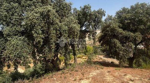Terrenos en venta en Quéntar