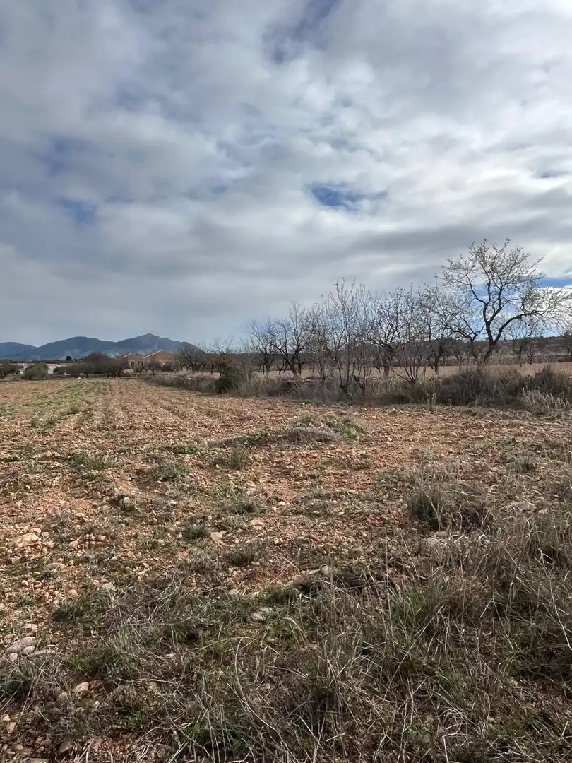 Residencial en venta en Hondón de los Frailes
