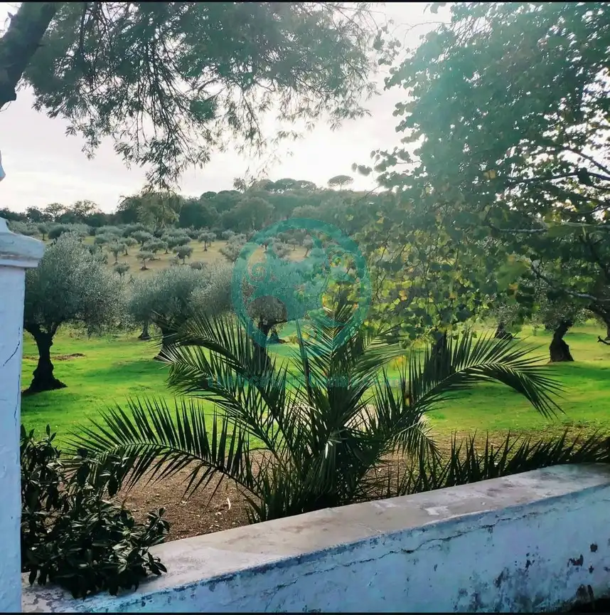 Country house with pool for sale in Calle Aguaperal, imagen 31