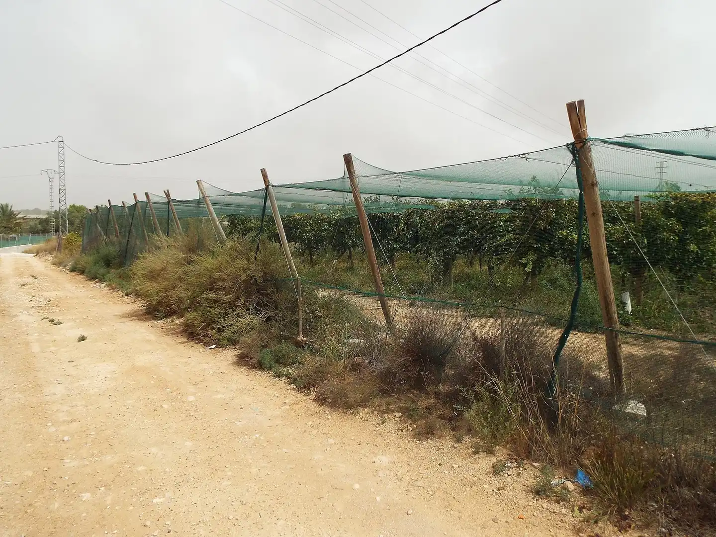 Terreno residencial en venta en Monforte del Cid, imagen 10