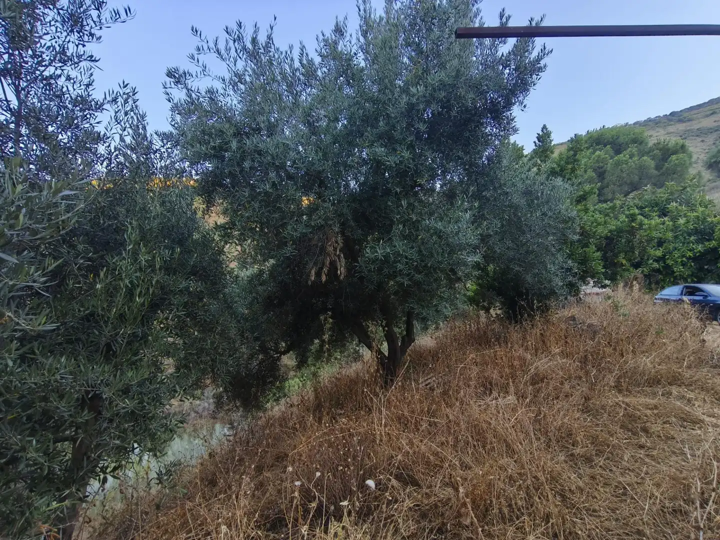 Terrenys i solars en venda a Colmenar, imagen 9