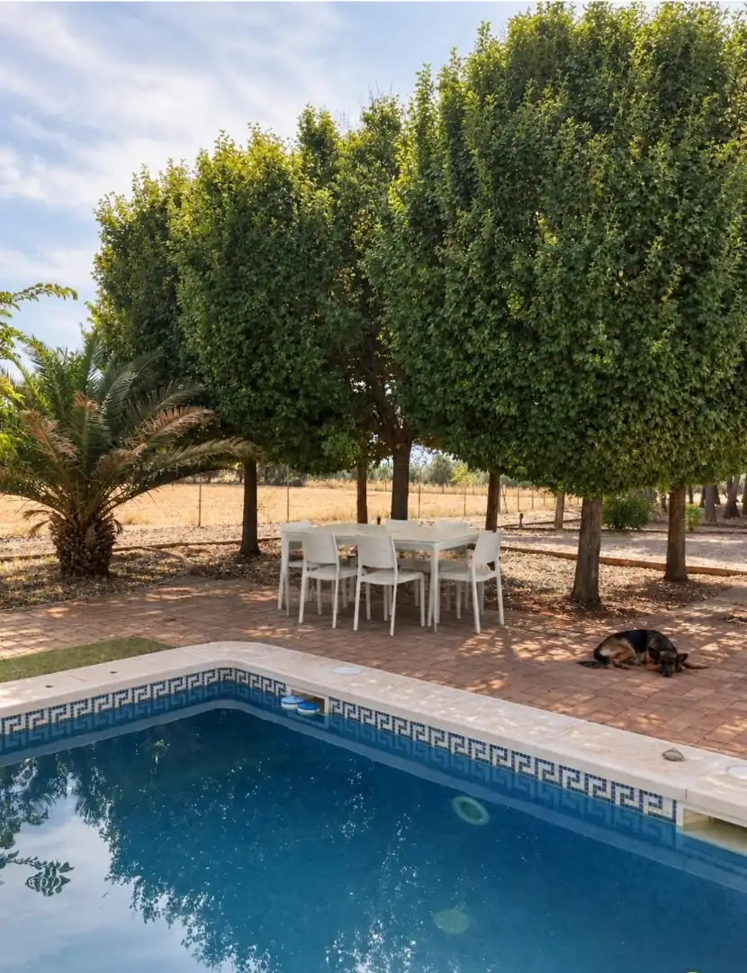 Terrace of Country homes for rent in Argamasilla de Calatrava, Ciudad Real