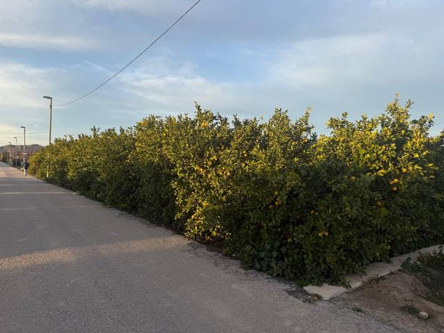 Terreno en Venta en Vereda Jurisdiccion, 10 en Santa Cruz