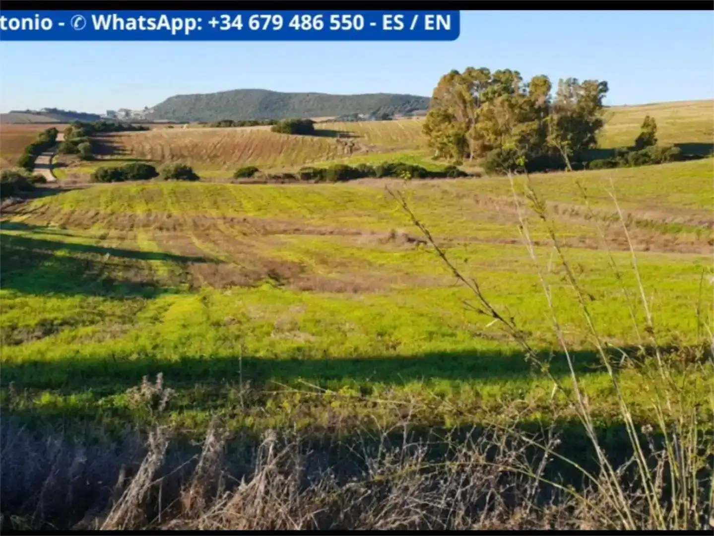 Apartament en venda en Arcos de la Frontera