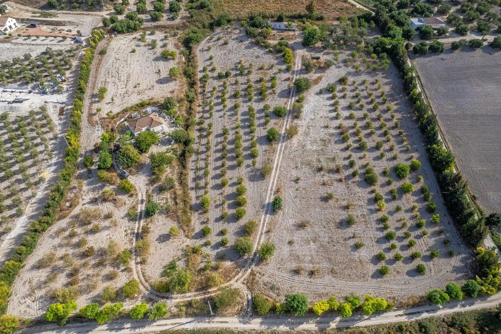 Casa amb jardí en venda a Arcos de la Frontera, imagen 2