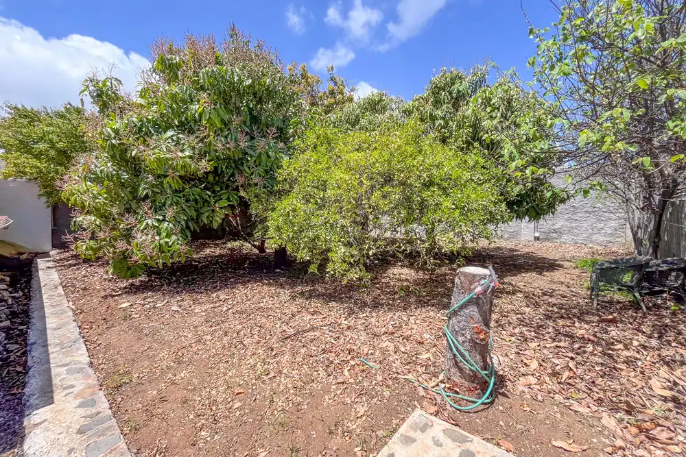 Jardí de Casa o xalet en venda en San Sebastián de la Gomera amb Terrassa i Moblat