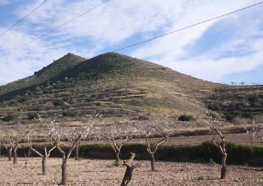 Rustikales Grundstück zum Verkauf in PARAJE LOS PUERTOS Nº 119, imagen 5