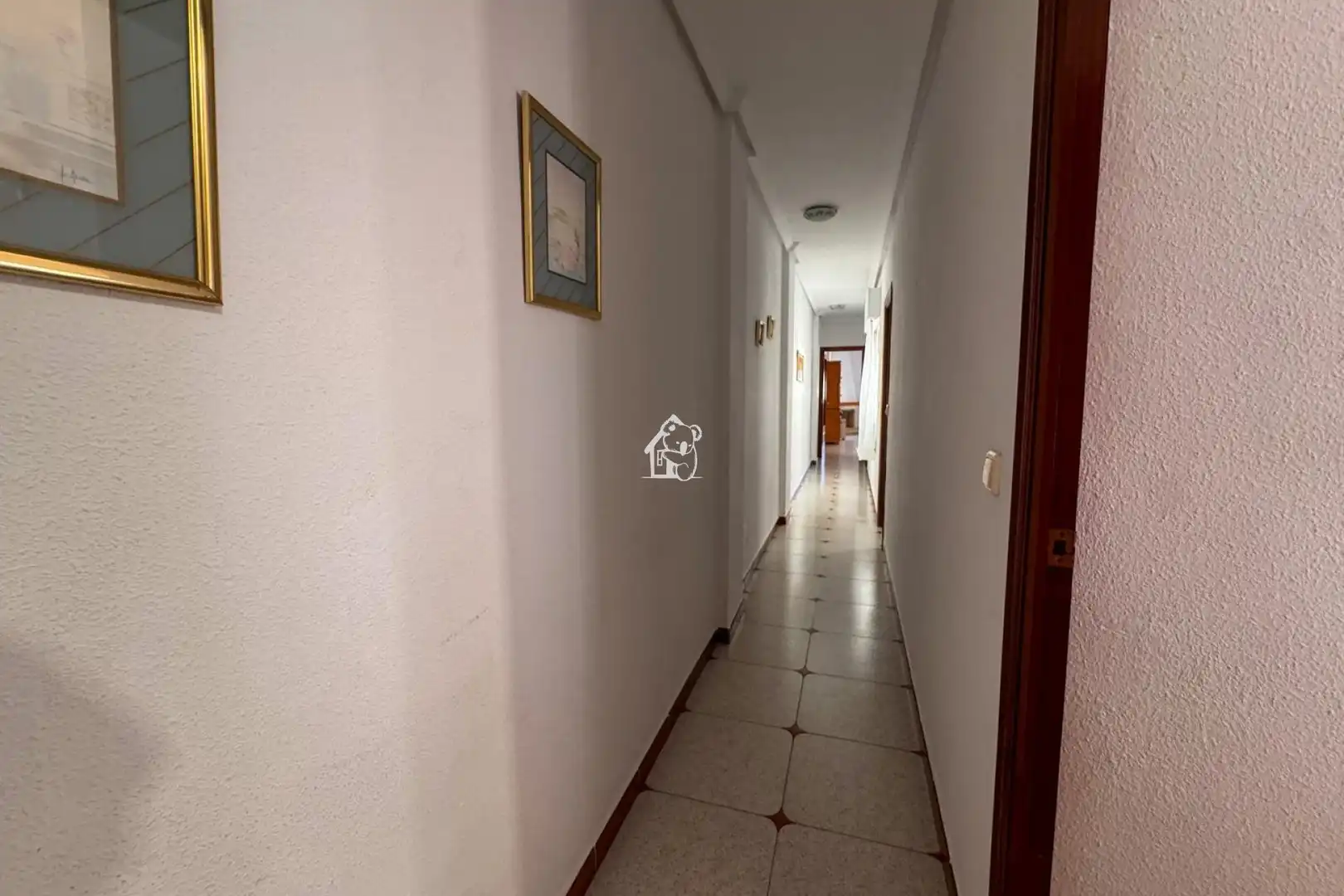 Apartments for rent in Zona Playa de los Locos