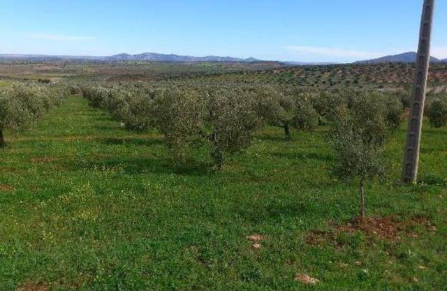 Terreno en Venta en Génave