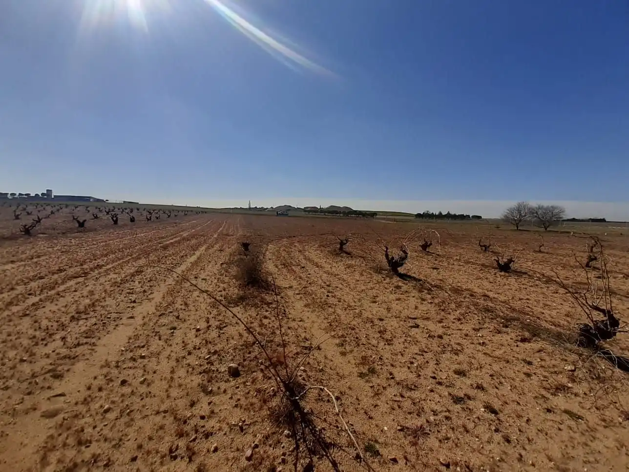 Terreno en venta en Moraleja del Vino