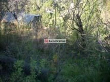 Terreni e lotti in vendita a Ginesta 45
