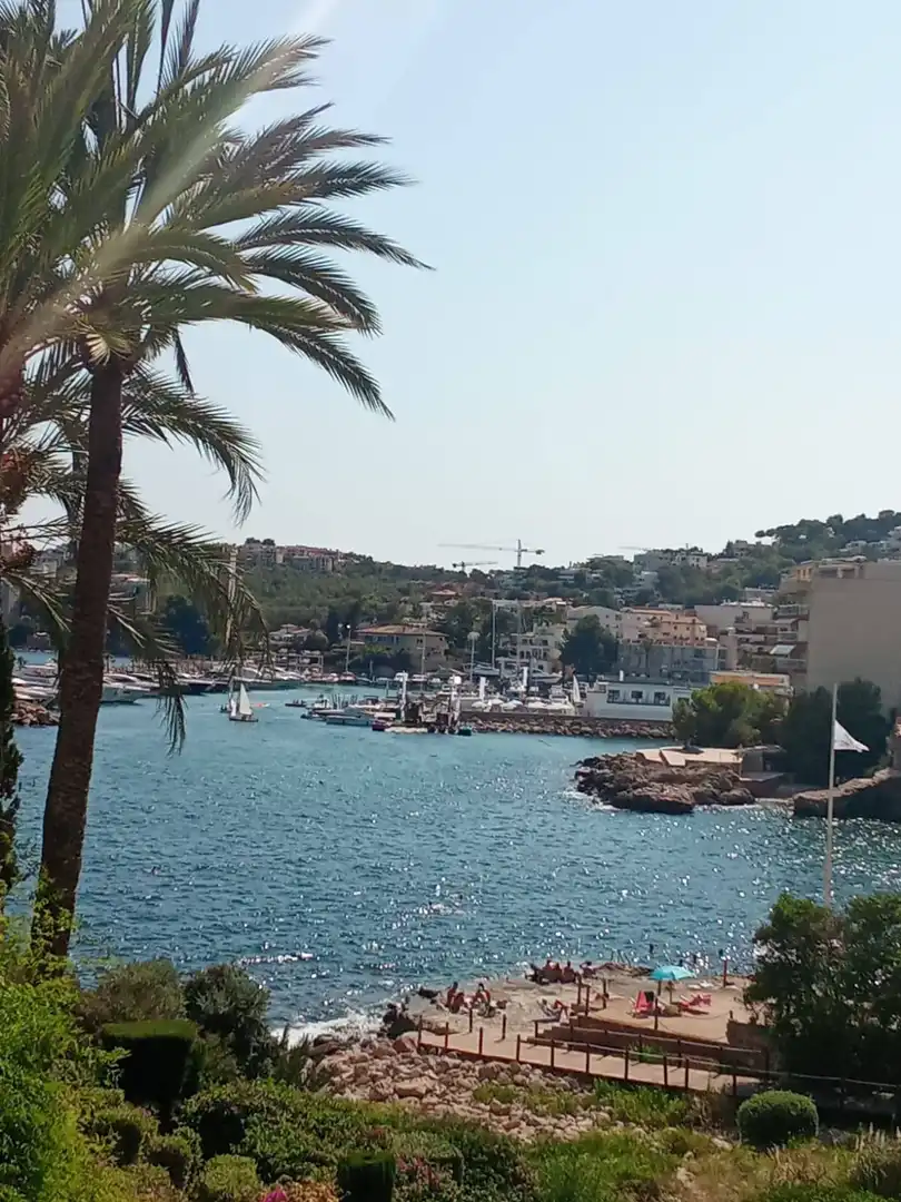 Vista exterior de Local en venda en  Palma de Mallorca