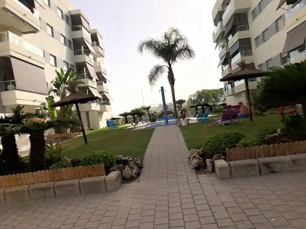 Estudio de alquiler en Carrer Dénia, Daimús