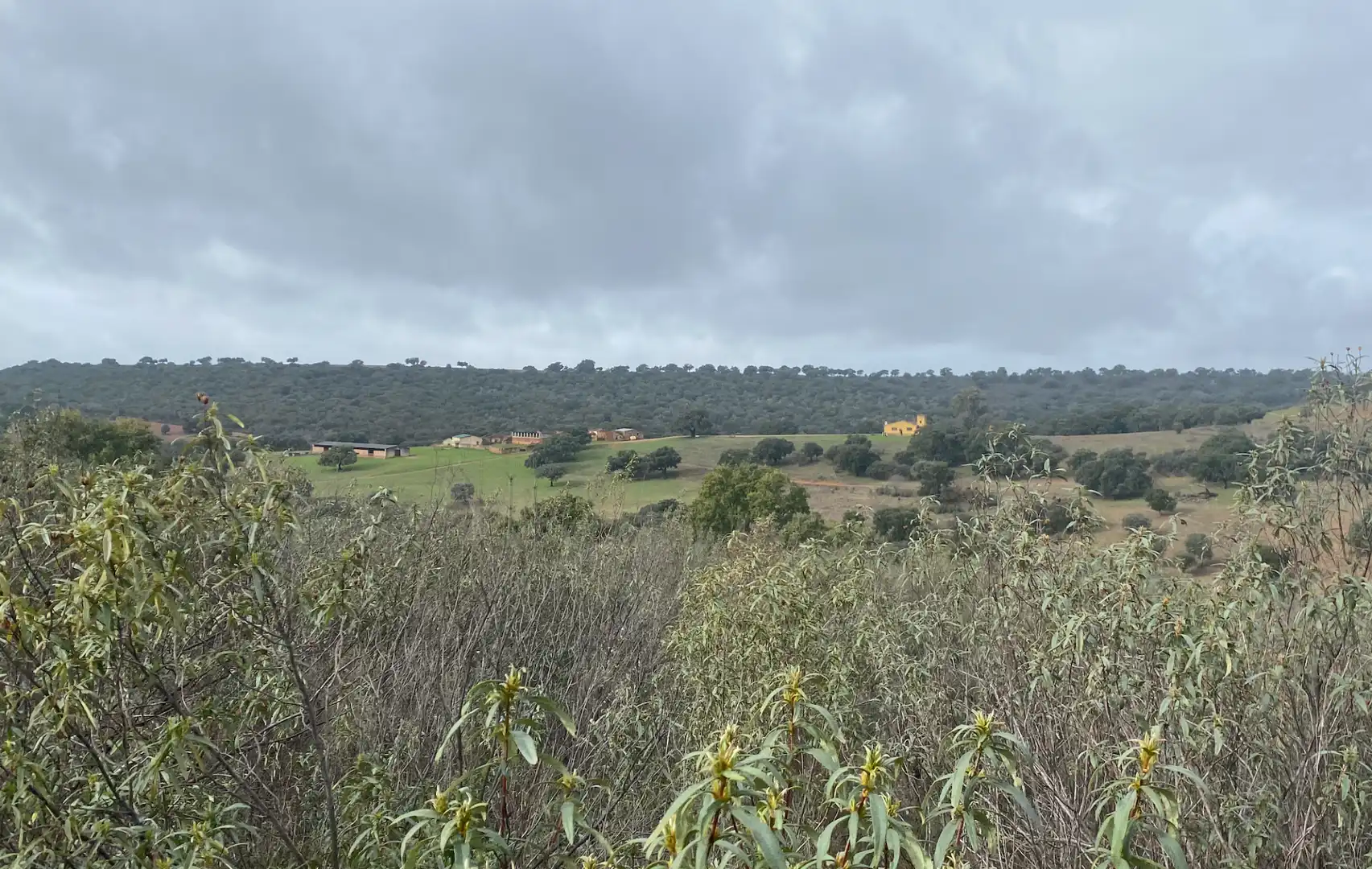 Terreno en venta en Anchuras